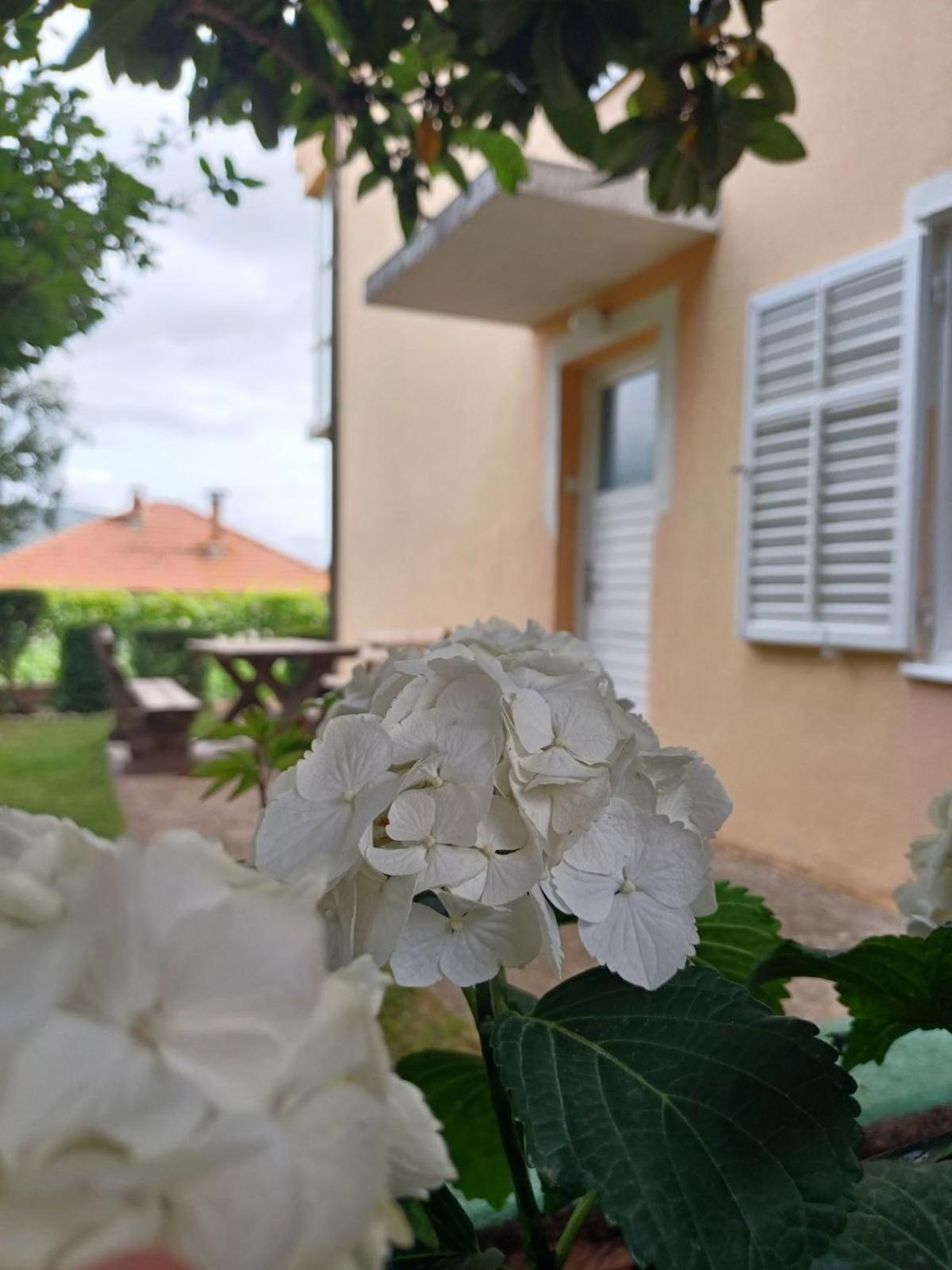 Apartments For Friends Trebinje Exterior foto